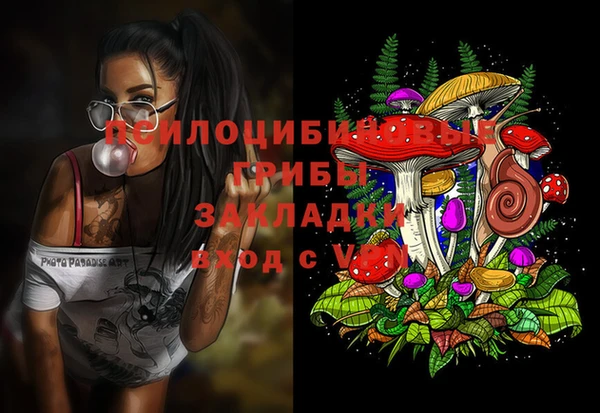 дурь Новокубанск