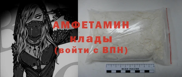 ешки Новодвинск