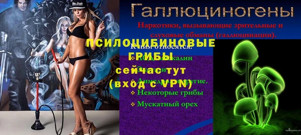 дурь Новокубанск
