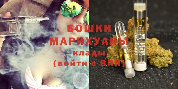 ешки Новодвинск