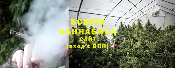 ешки Новодвинск