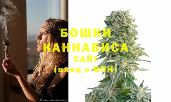 ешки Новодвинск