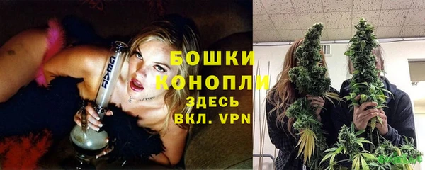 ешки Новодвинск
