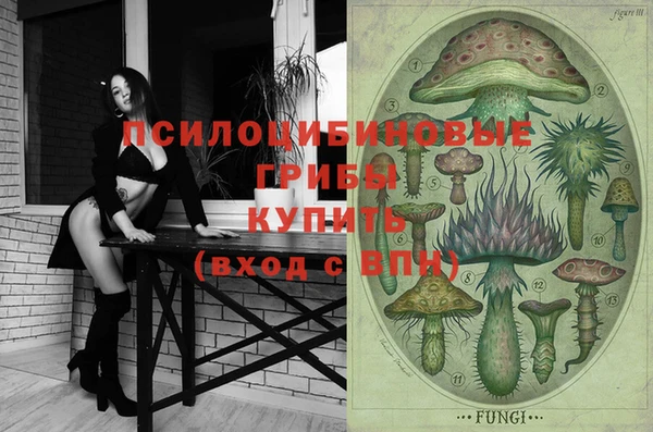 дурь Новокубанск