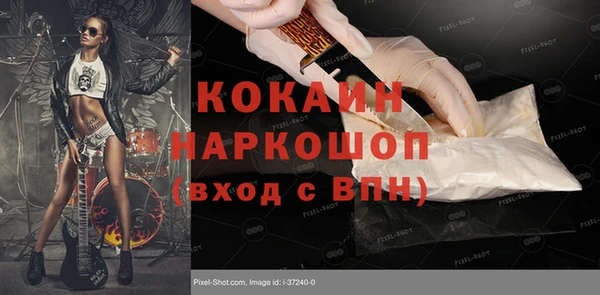 ешки Новодвинск