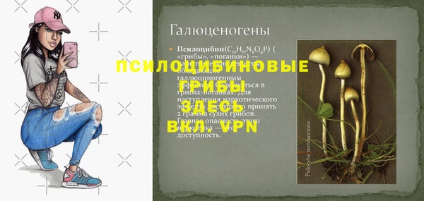 ешки Новодвинск
