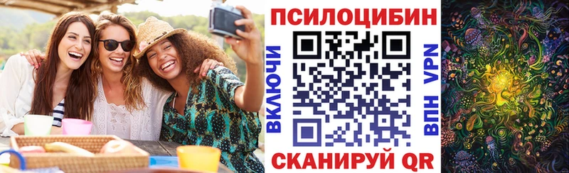 blacksprut   Яранск  Галлюциногенные грибы Magic Shrooms  как найти  